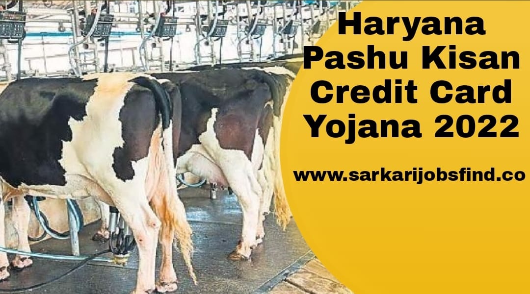 Haryana Pashu Kisan Credit Card Yojana 2022